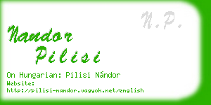 nandor pilisi business card